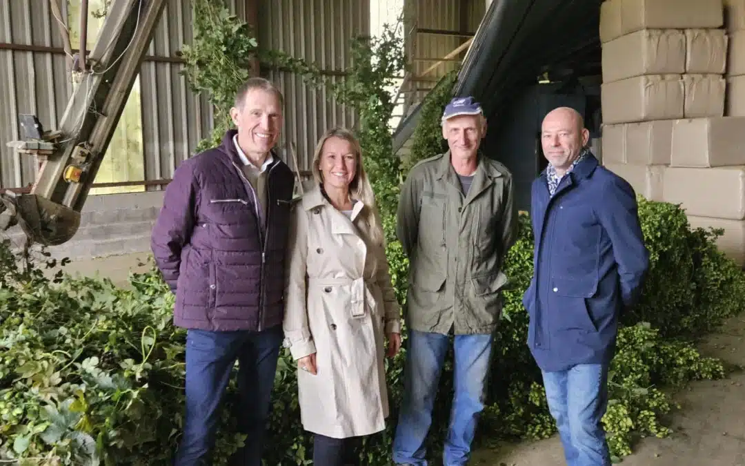 Visiter d’une houblonnière à Mittelschaeffolsheim