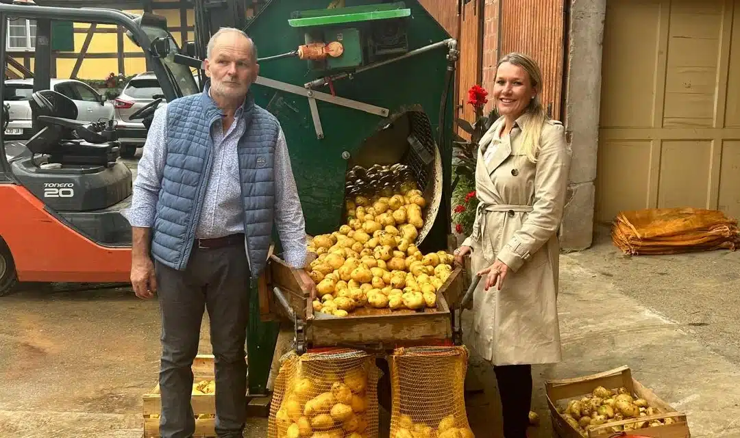 Visite en mairie et récolte des pommes de terre à Wittersheim