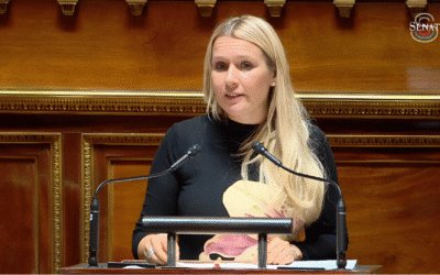 Proposition de loi : Définition pénale du viol et des agressions sexuelles (Rapporteure)