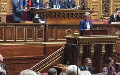 Discours de politique générale du Premier Ministre par la Ministre Borne