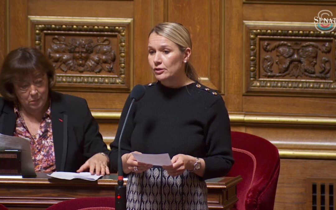 Mes amendements sur le projet de loi « RIPOST » visant à apporter des réponses immédiates aux atteintes à l’ordre public